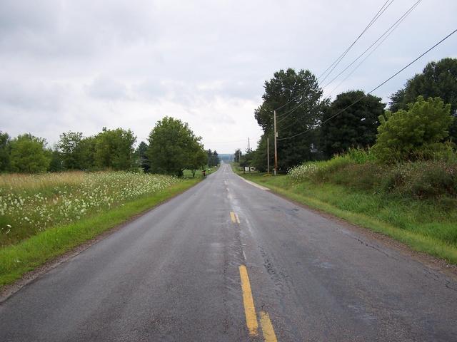 Looking West along Willow Road.