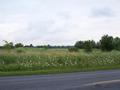 #6: Overview looking South from Willow Road.