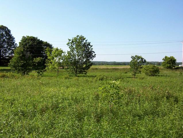 View to the nort and Willow Road