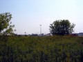 #3: EAST