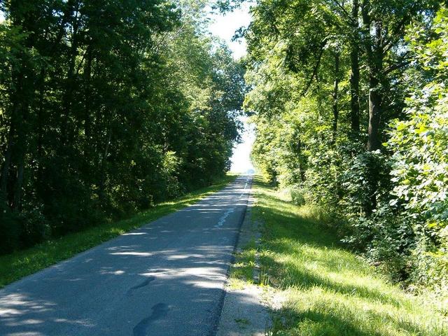 The nearest road to the CP. A narrow shaded lane.