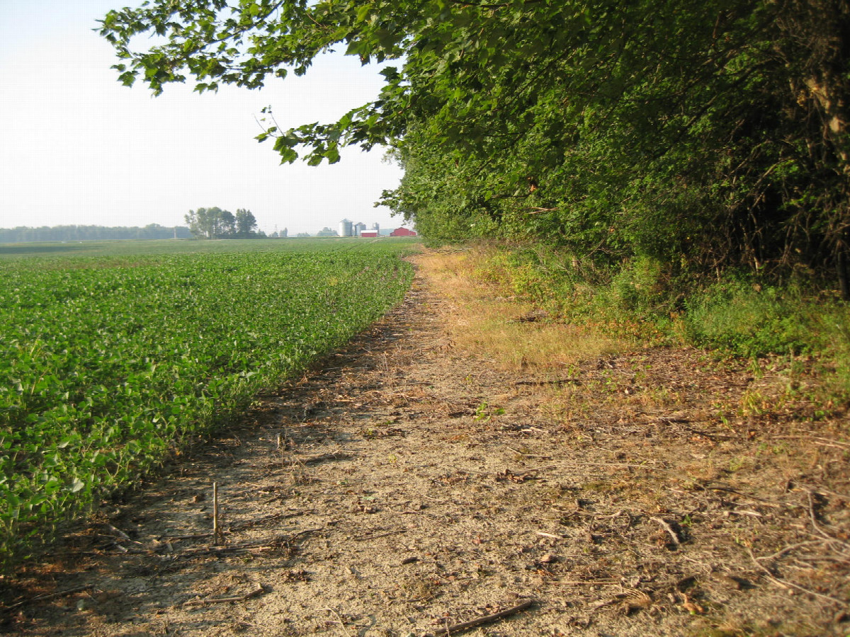 Hike in along the field (looking south from the corner)