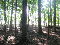 #2: View to the east