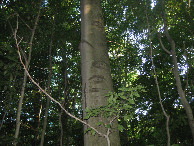 #9: Eyes watching on the hike out... 