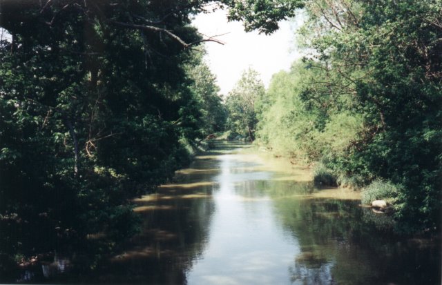 Confluence is right in the middle of the creek.