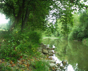 #1: looking north from the confluence point