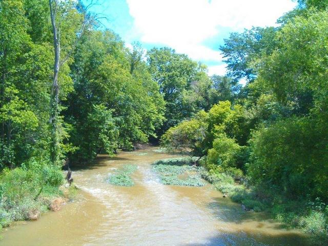 Riley Creek looking South