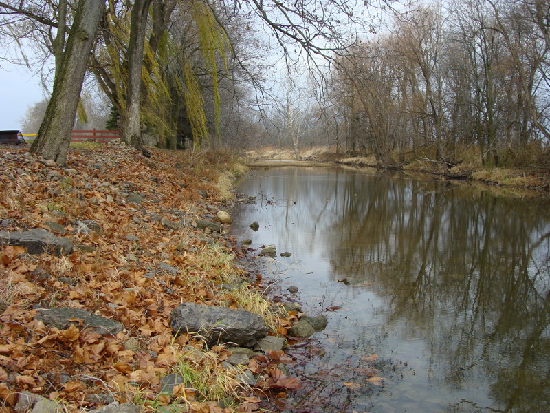 Looking north, downstream toward Dutch Run, creekside at 41N 84W.