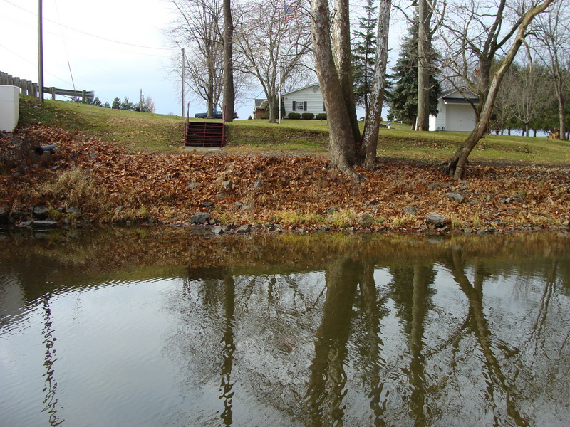 The view to the west shows steps coming down to Riley Creek.