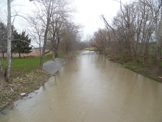 #1: Point in the creek from the road bridge