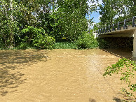 #3: View to the east from the confluence point.