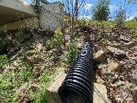 #9: Ground cover at the confluence point--watch your footing!  Thorns and rocks. 