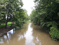 #3: Visão norte e confluência 10 metros adiante, dentro do riacho - north view and confluence 10 meters ahead, at the creek