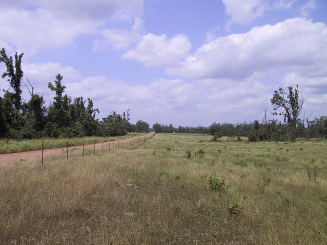 View north from the confluence at 34 N 95 W