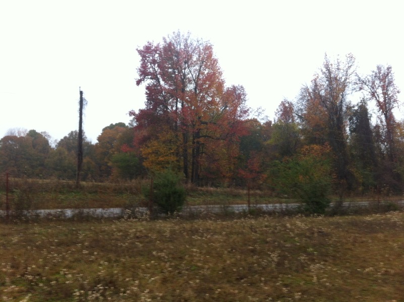 View to the west from the confluence point.