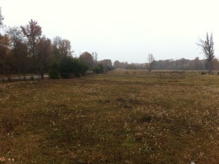 #1: View of the confluence of 34 North 95 West, in the center foreground, looking north.