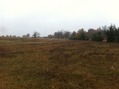 #6: View to the south from the confluence.