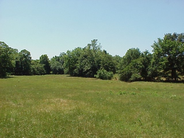 The Confluence from 100 Meters North