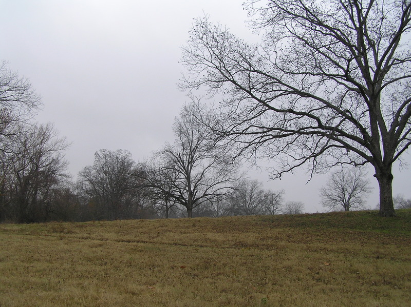 View to the south from the confluence.