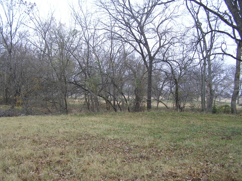 View to the north from the confluence.