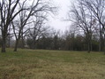 #5: View to the east from the confluence.