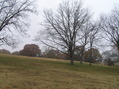 #7: View to the west from the confluence point.