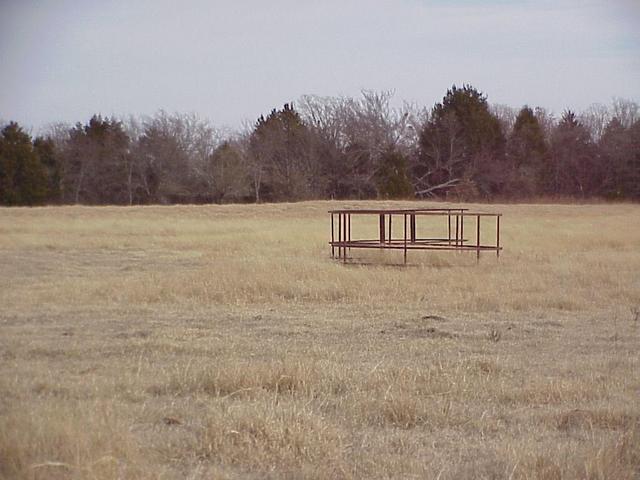 View to the east from the confluence.