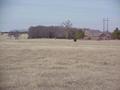 #6: View to the north from the confluence.