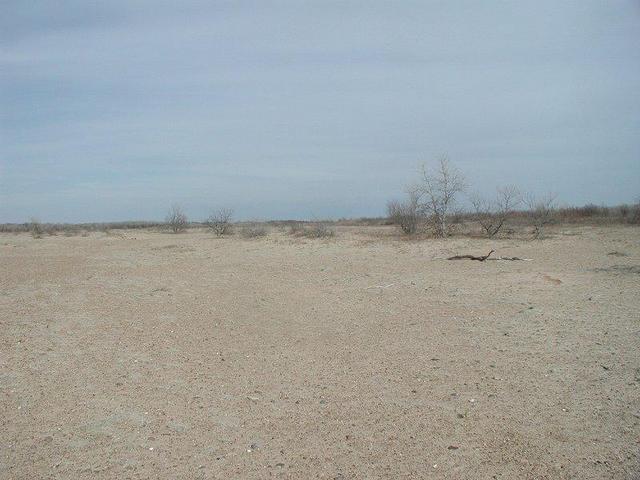 East