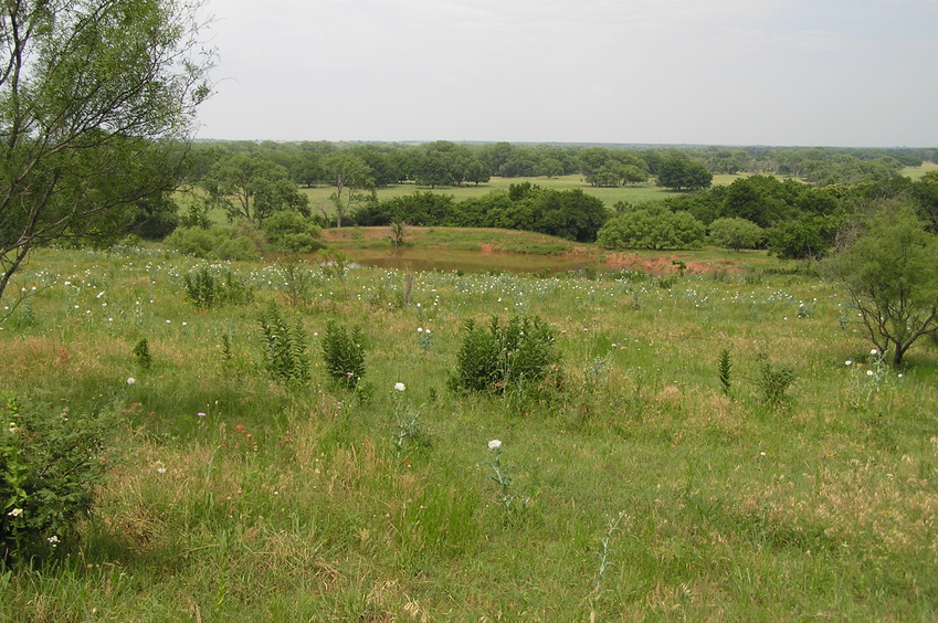 View near the start of the hike, about 1.5 km north of the confluence, looking north-northeast into the floodplain of the Red River, into Oklahoma from Texas.