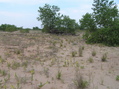 #2: View to the east from the confluence point.