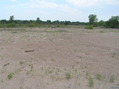 #3: View to the south from the confluence point.