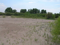 #4: View to the west from the confluence point.