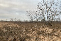 Visit #4: [13-Dec-24]