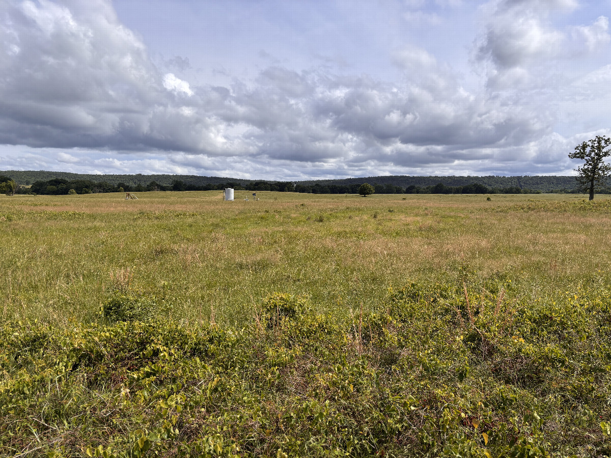 View to the south from the confluence. 