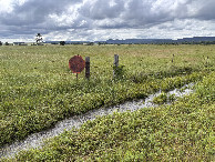 #10: My shoes are going to get wet! View of the confluence in the mid distance, looking northwest. 