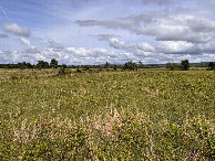 #3: View to the east from the confluence. 