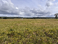 #4: View to the south from the confluence. 