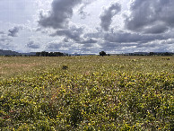 #5: View to the west from the confluence.  