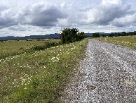 #9: Closest Road to the confluence with the field off to the left. 