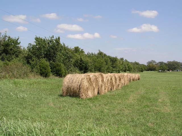 Hay field five yards south of 35N 96W