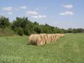 #7: Hay field five yards south of 35N 96W