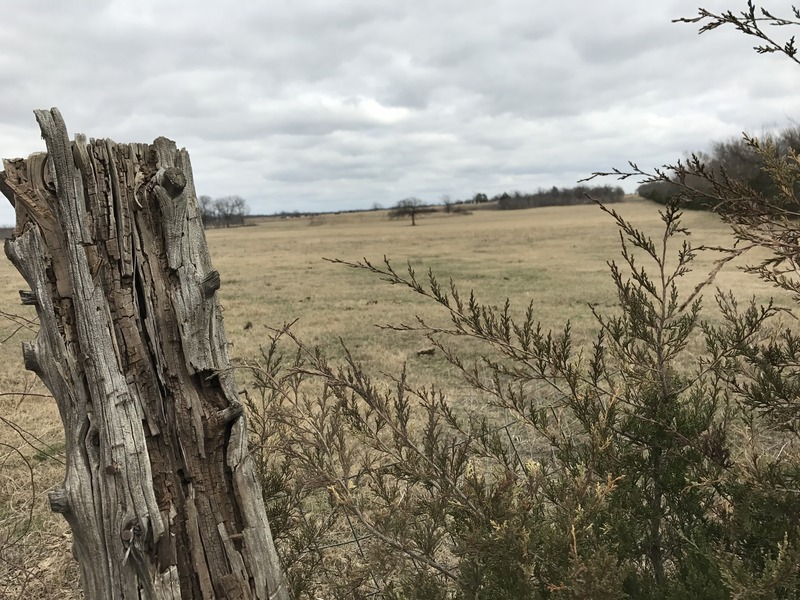 Moody photo about 35 meters west of the confluence, looking back toward the confluence to the east, showing the surrounding countryside.  