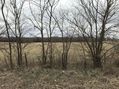 #4: Confluence of 35 North 96 West, looking south.