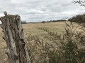 #9: Moody photo about 35 meters west of the confluence, looking back toward the confluence to the east, showing the surrounding countryside.  