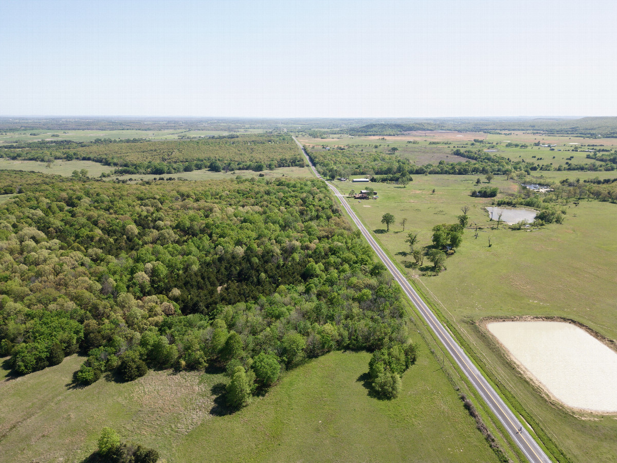 View South, from 120m above the point