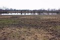 #3: Looking S from the confluence spot