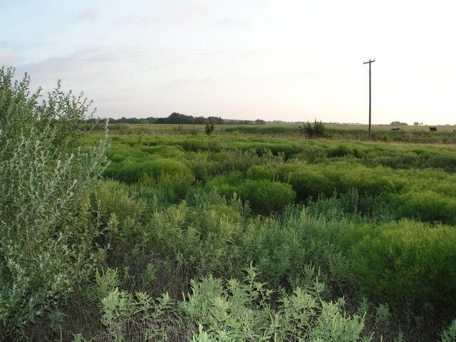 Looking north from 35N 97W