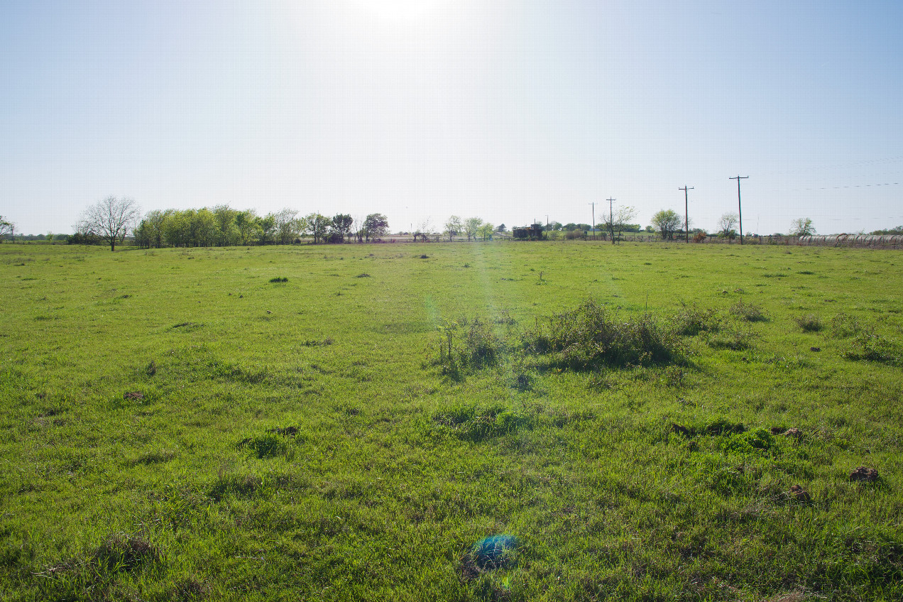 View West (into the late-afternoon Sun).