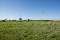 #2: View North (towards the road, about 200 feet away)